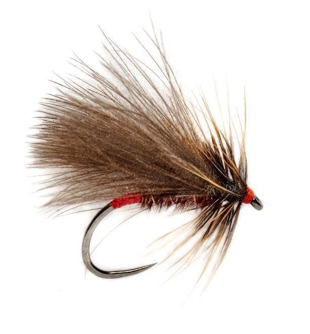 Roza's Red Butt Caddis - Barbless - Flies - Fly Fish Food