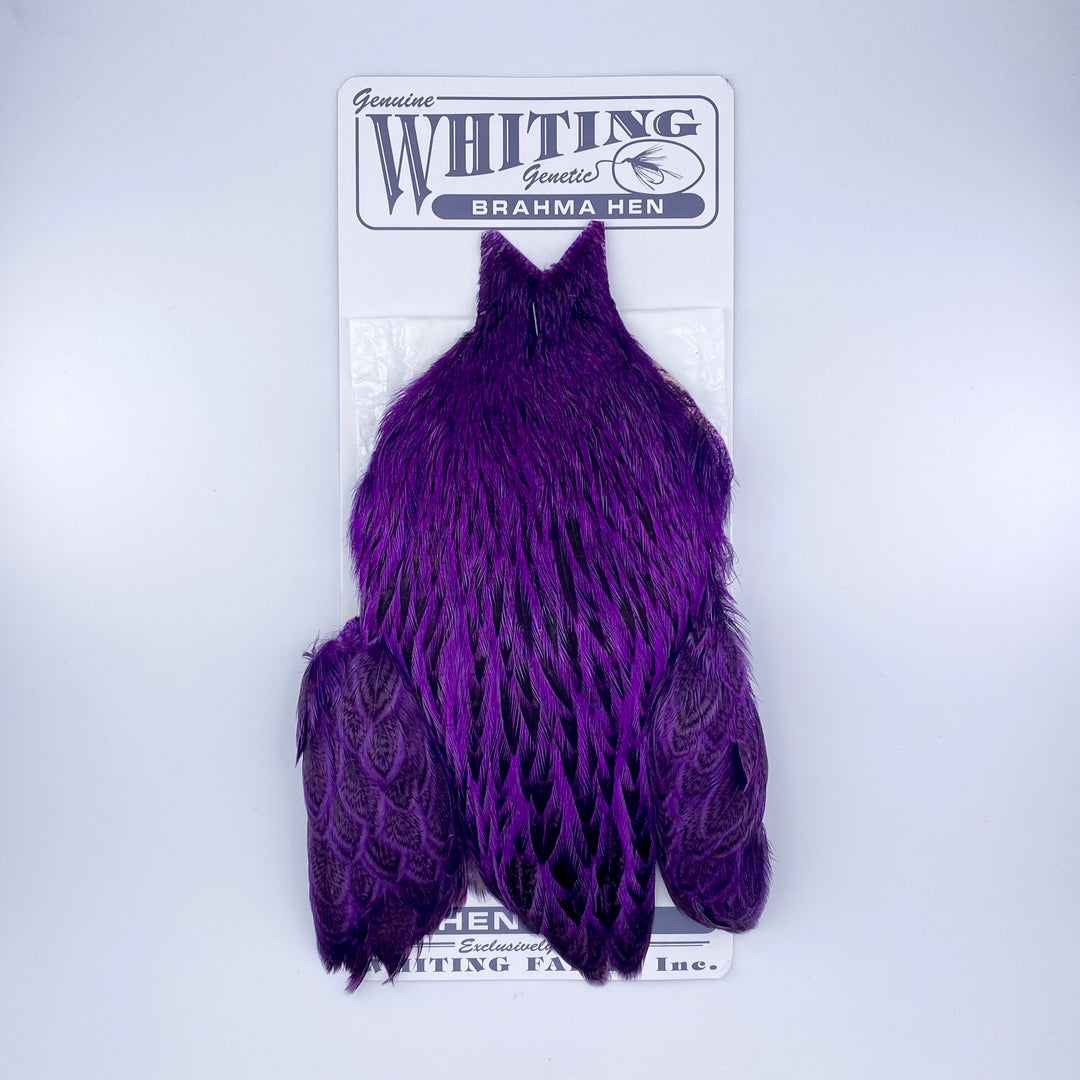 Whiting Brahma Hen Cape for Soft Hackles