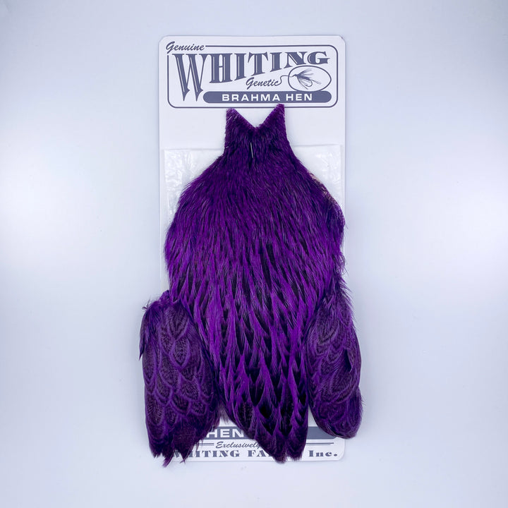 Whiting Brahma Hen Cape for Soft Hackles
