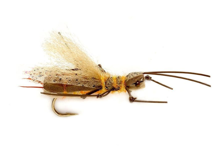 Gee's Supafly Stone - Golden - Flies - Fly Fish Food