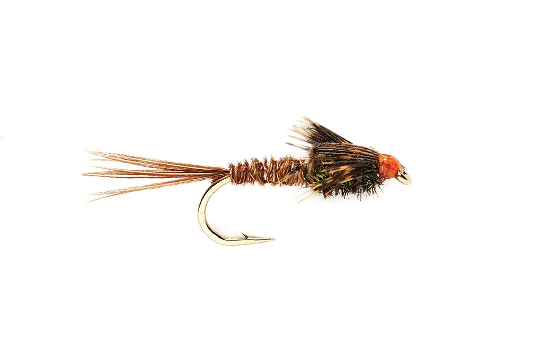 American Pheasant Tail 14