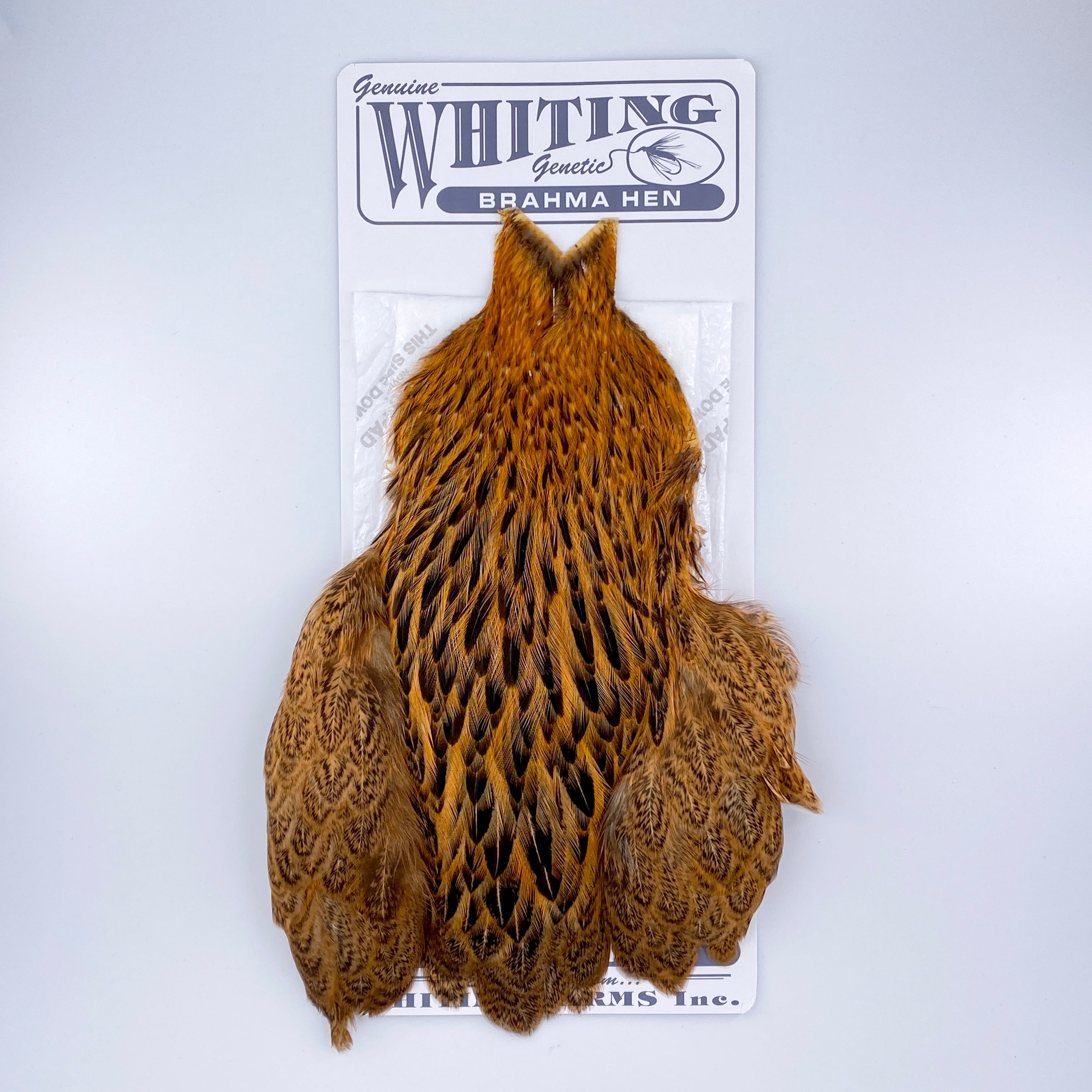 Whiting Brahma Hen Cape for Soft Hackles