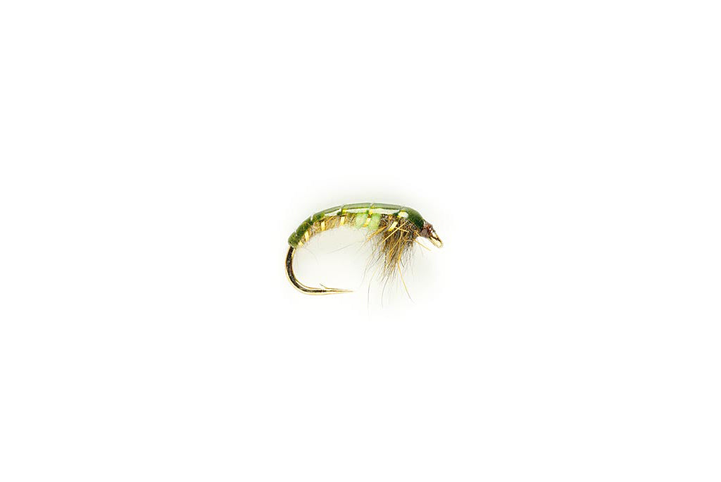 Czech Mate - Green Peacock