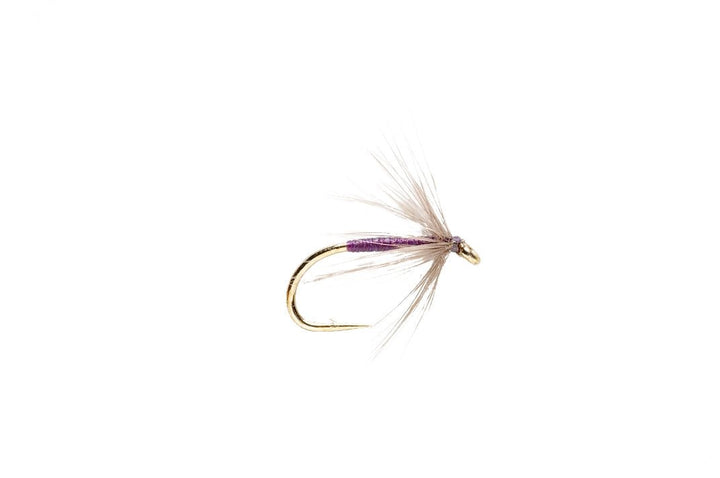 Snipe & Purple - Flies - Fly Fish Food