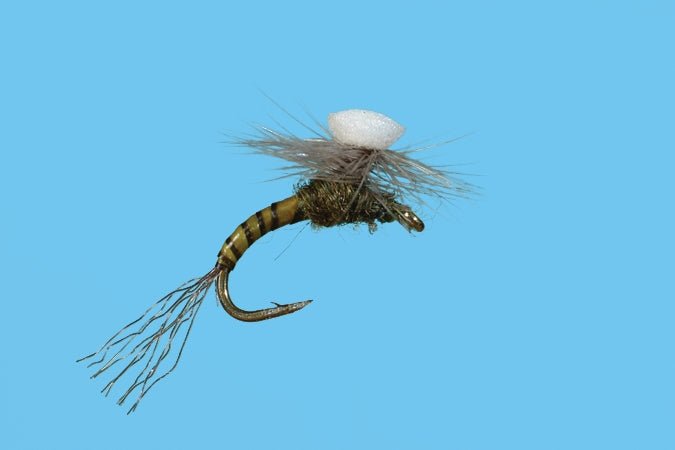 Brook's Sprout Baetis