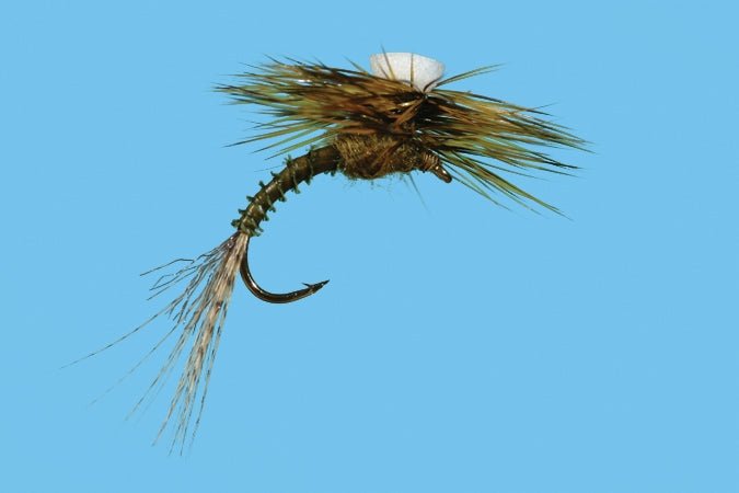 Brook's Sprout - Flavilinea - Flies - Fly Fish Food
