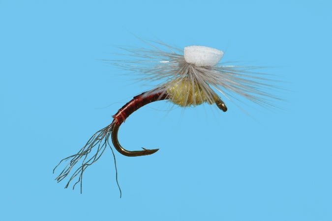 Brook's Sprout - PMD - Flies - Fly Fish Food