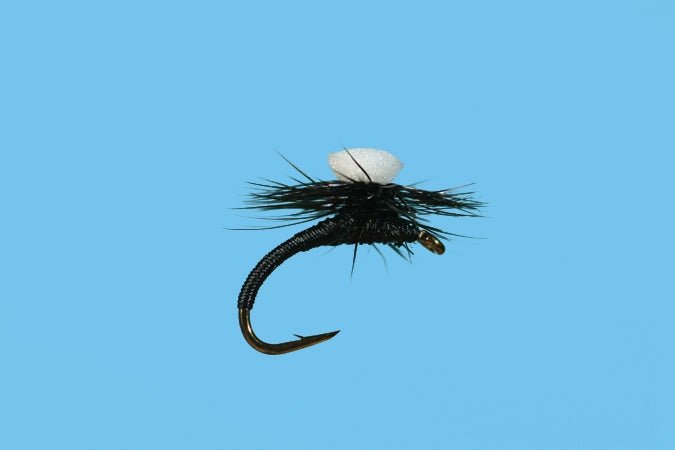Brook's Sprout Midge - Black - Flies - Fly Fish Food