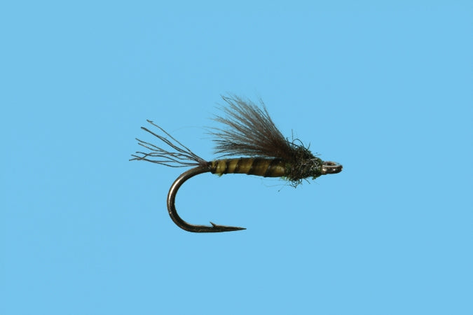 CDC Emerger - Baetis