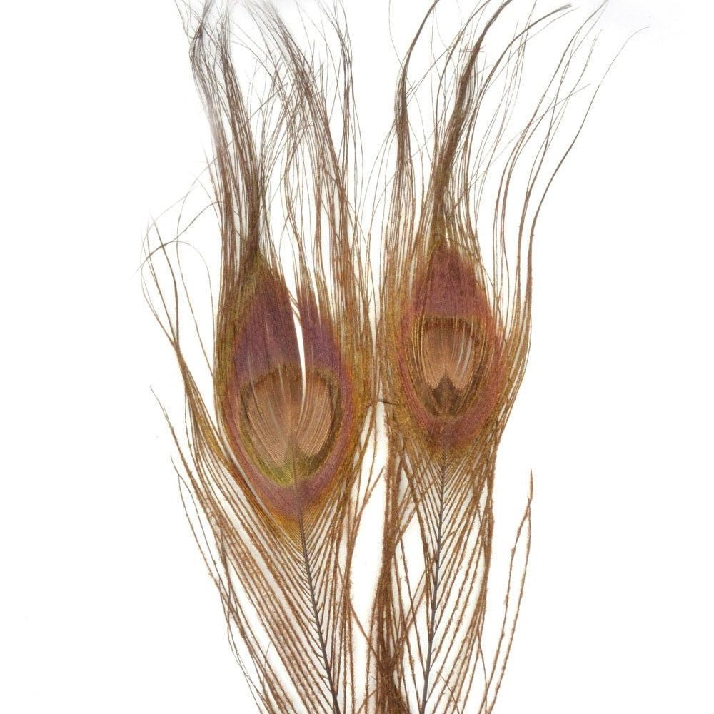 Nature's Spirit Bleached Dyed Peacock Sticks - Feathers & Marabou - Fly Fish Food