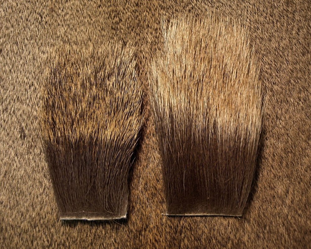 Nature's Spirit Cow Elk Backstrip - Hair & Fur - Fly Fish Food