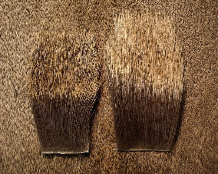 Nature's Spirit Cow Elk Backstrip - Hair & Fur - Fly Fish Food