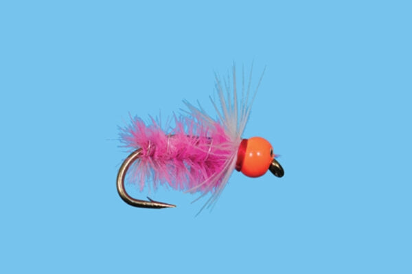 Hot Head Sow Bug - Pink