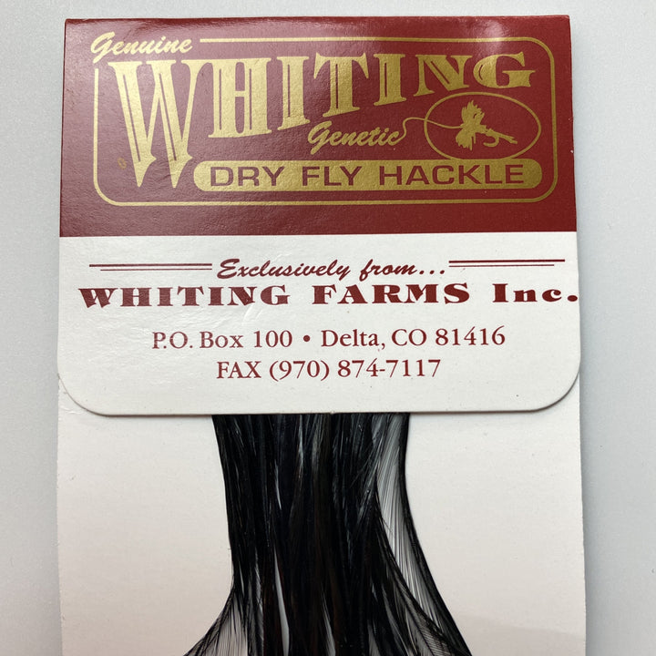 Whiting 100 Pack Dry Fly Hackle  - Black - 16