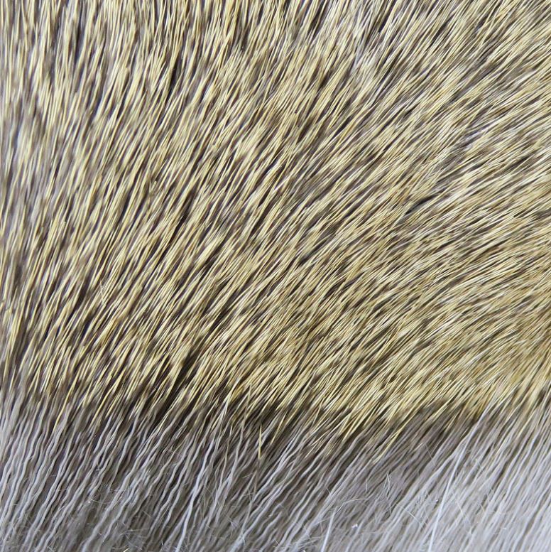 Dyed Deer Body Hair