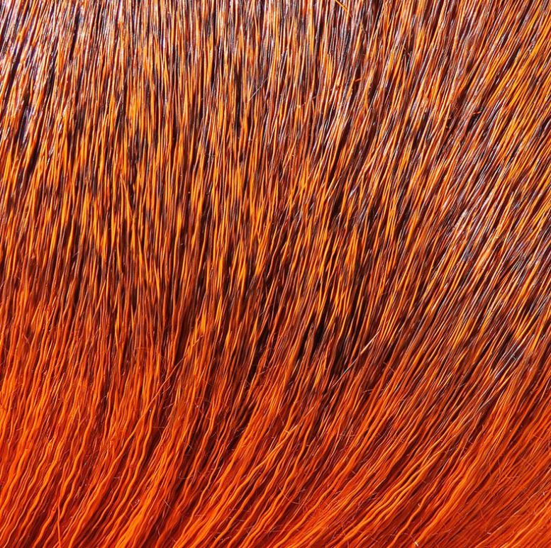Dyed Deer Body Hair