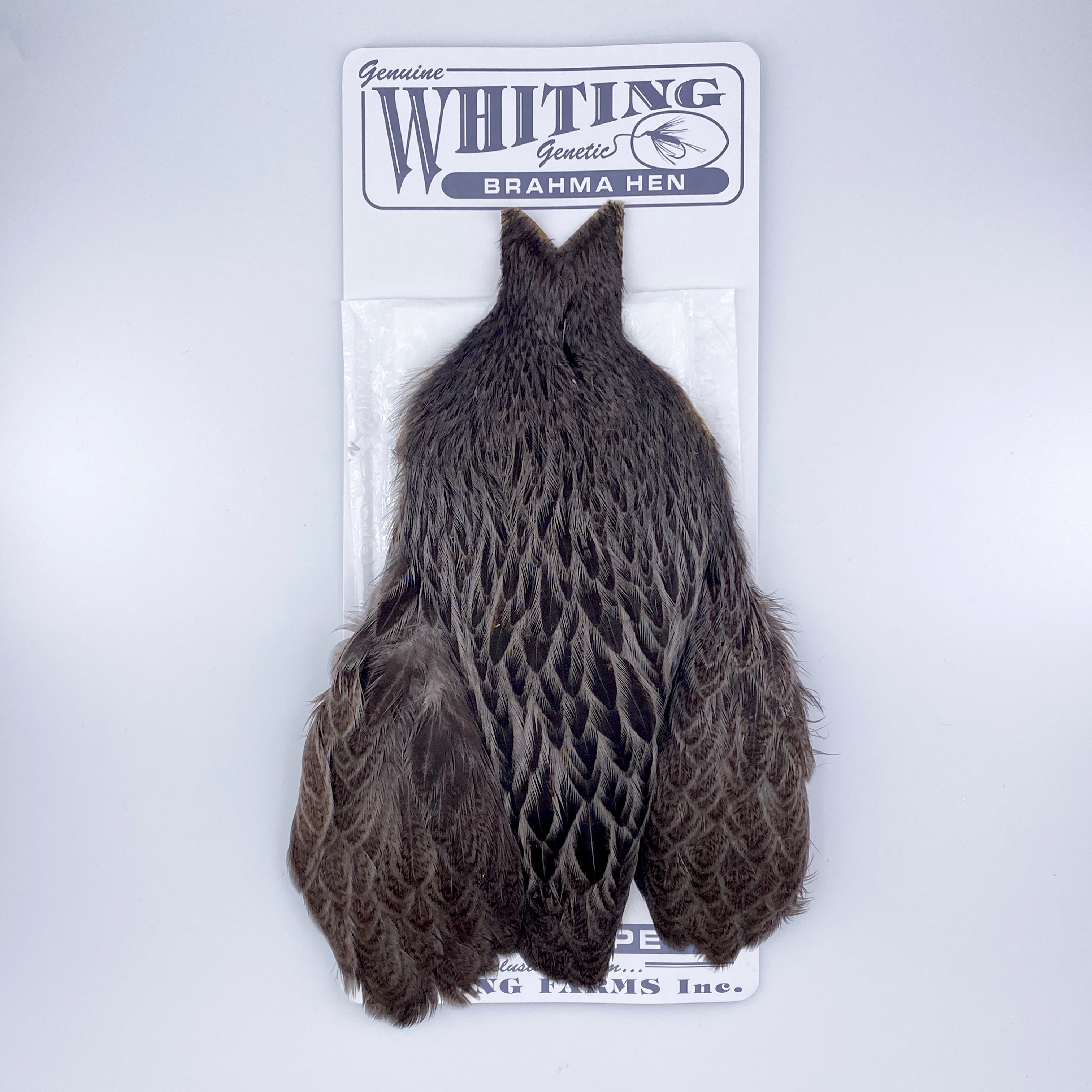 Whiting Brahma Hen Cape for Soft Hackles