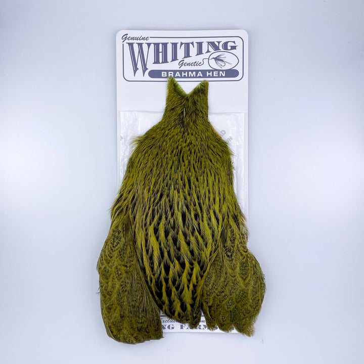 Whiting Brahma Hen Cape for Soft Hackles