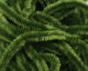 Chenille - Fine