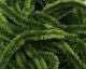 Chenille - Large - Chenille - Fly Fish Food