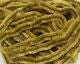 Chenille - Large