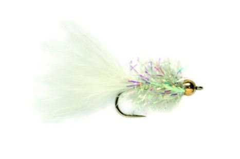 Cactus Fly White