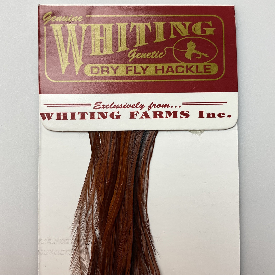 Whiting 100 Pack Dry Fly Hackle  - Coachman Brown - 12