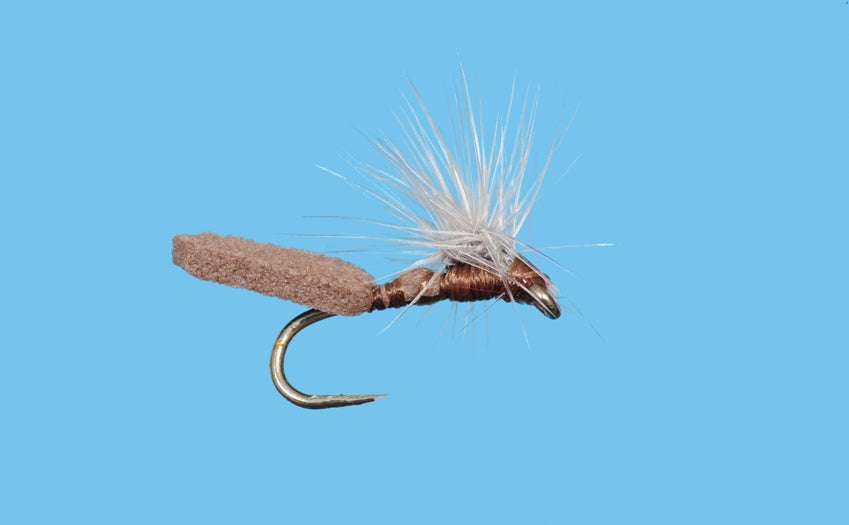 Mother Shucker - Brown