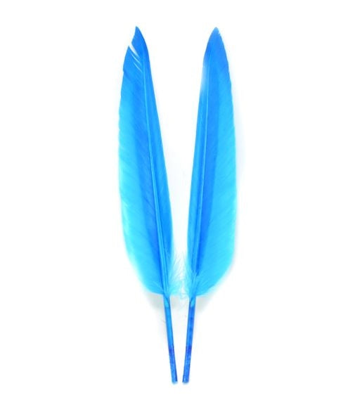 Nature's Spirit Duck Quills