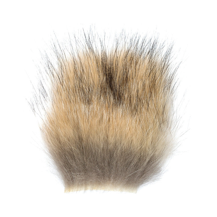 Coyote Hair Patch