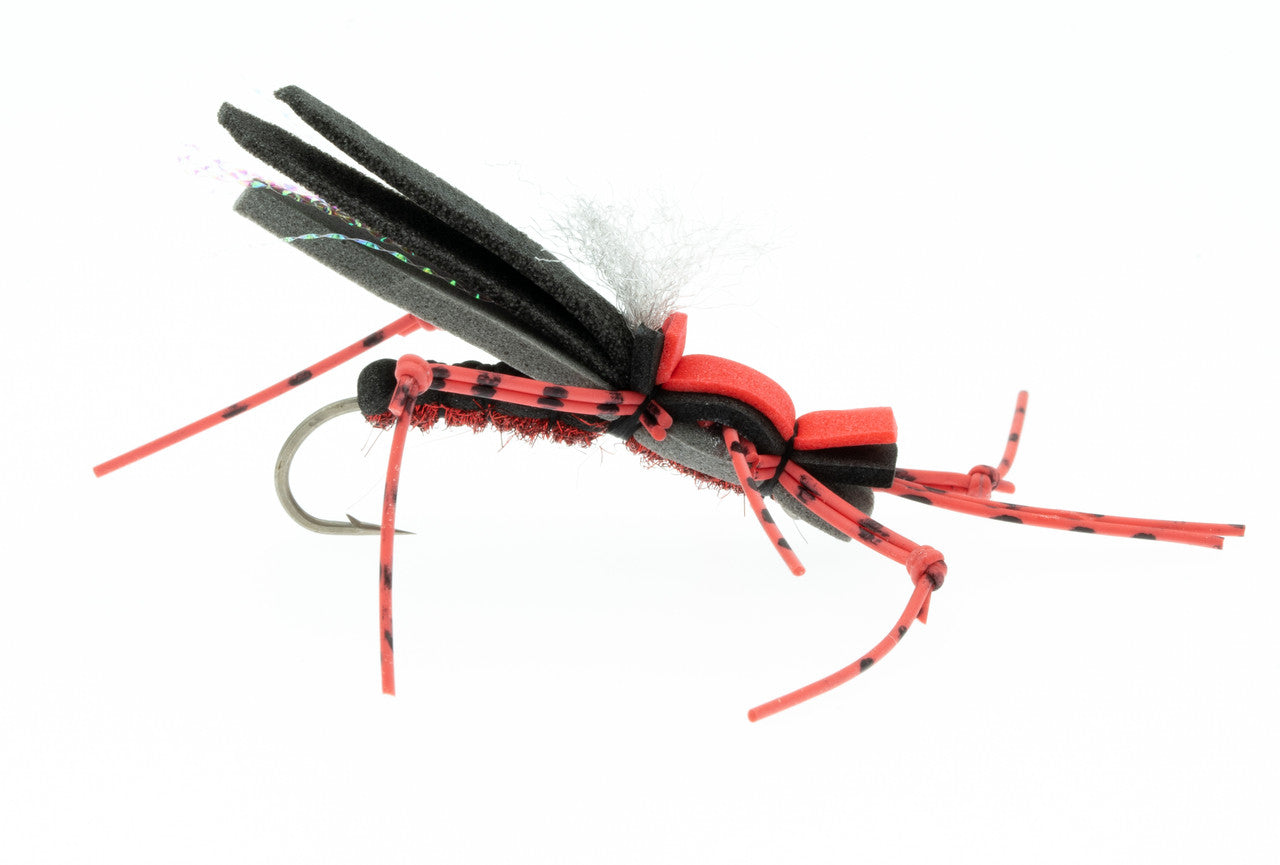 Dancin' Ricky - Royal