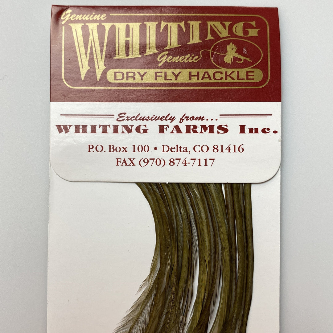 Whiting 100 Pack Dry Fly Hackle  - Dark Olive - 14