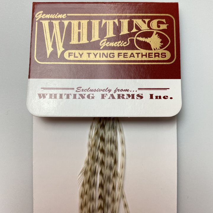 Whiting 100 Pack Dry Fly Hackle  - Dun Grizzly - 16
