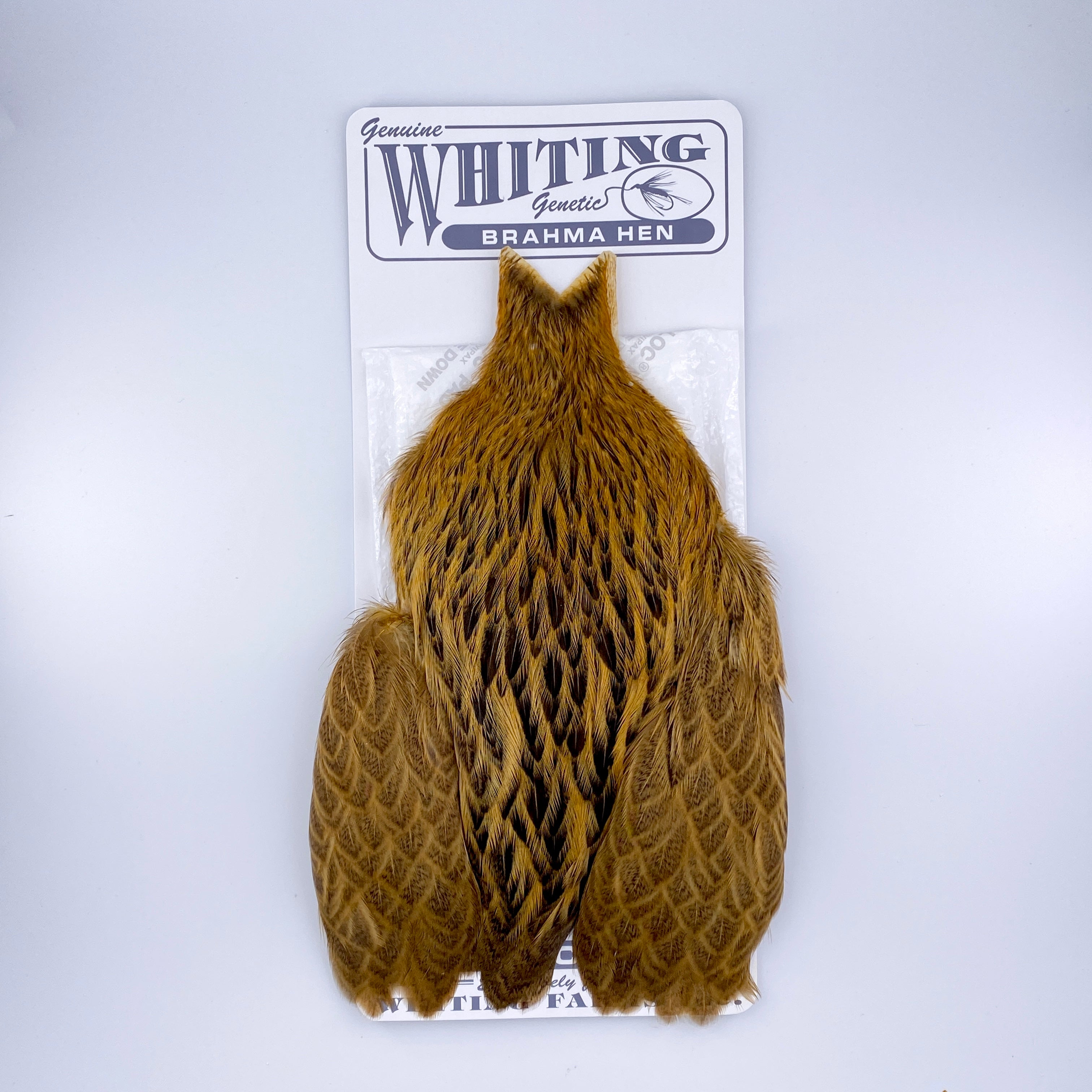 Whiting Brahma Hen Cape for Soft Hackles