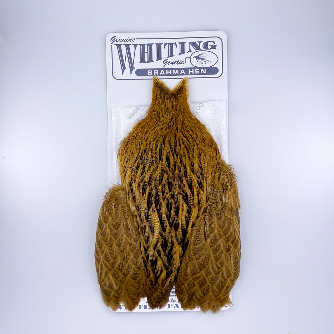 Whiting Brahma Hen Cape for Soft Hackles