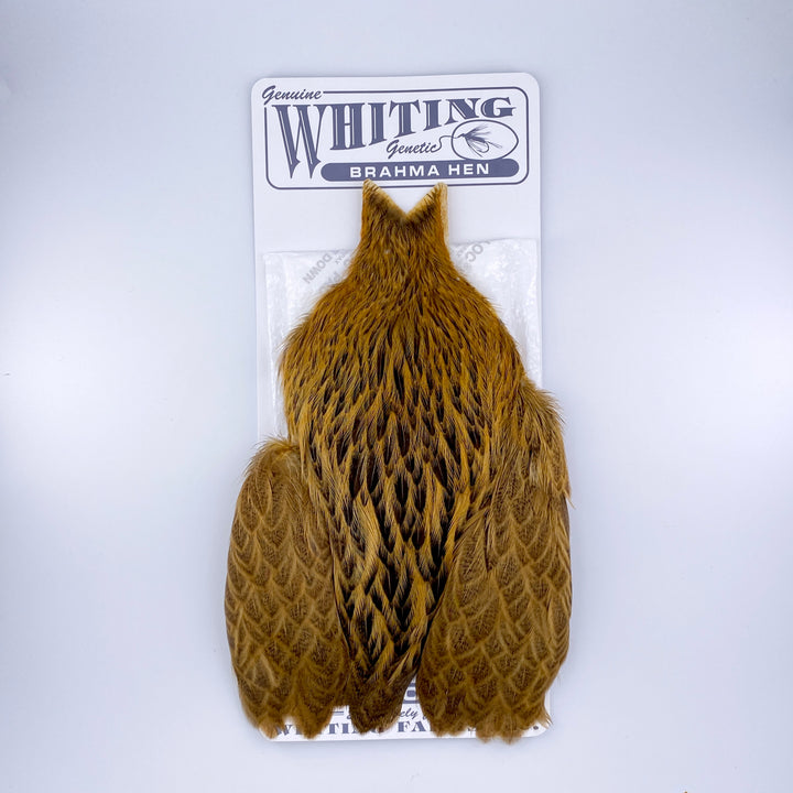 Whiting Brahma Hen Cape for Soft Hackles
