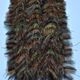 EP Crustaceous Brush w/ Micro Legs - Synthetic Fibers & Flash - Fly Fish Food