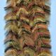 EP Crustaceous Brush w/ Micro Legs - Synthetic Fibers & Flash - Fly Fish Food