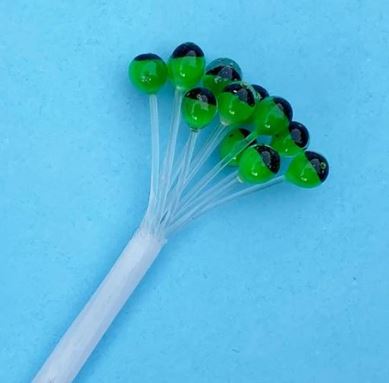 EP UV-X Crustacean Eyes