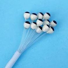 EP UV-X Crustacean Eyes