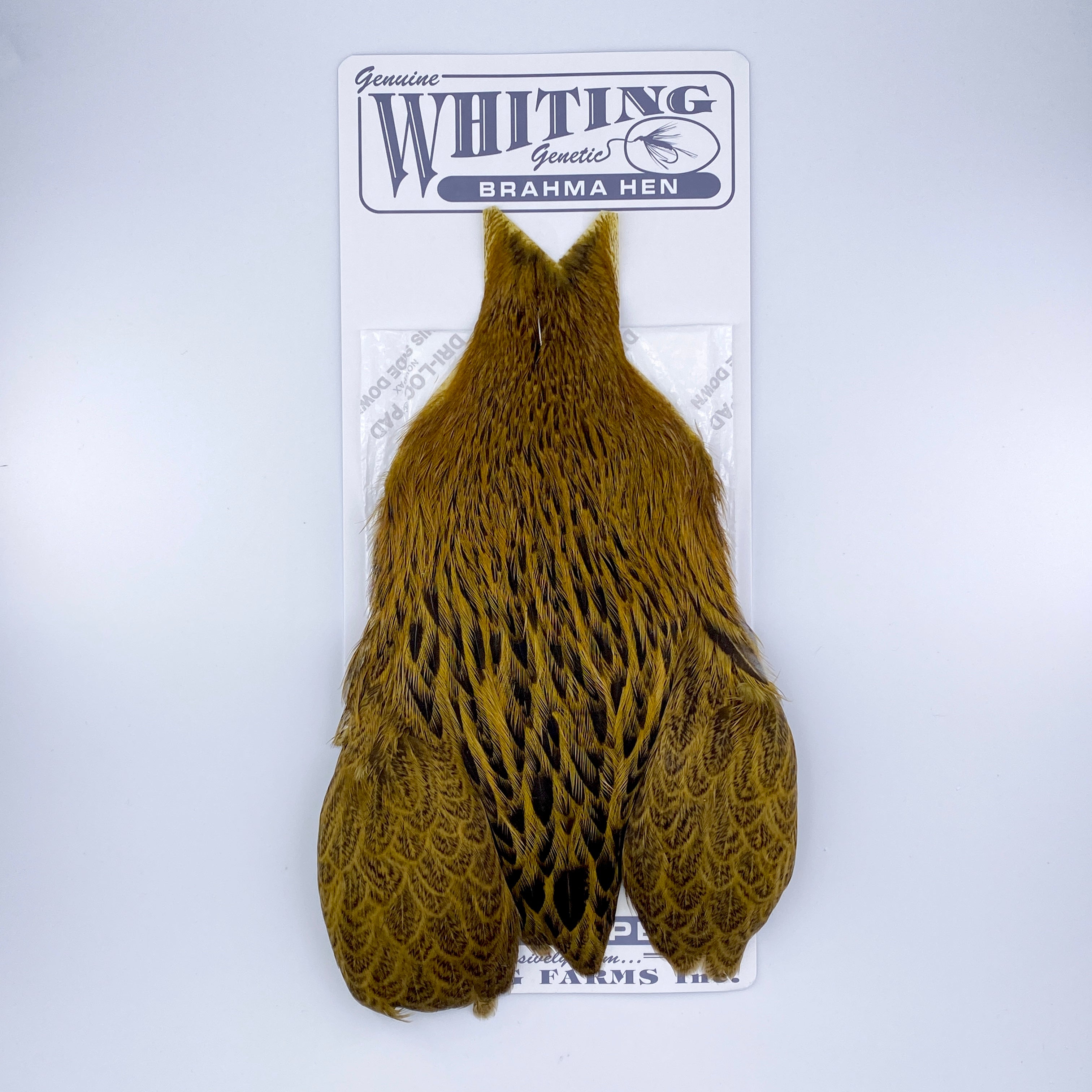 Whiting Brahma Hen Cape for Soft Hackles