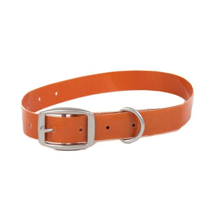 Fishpond Salty Dog Collar - Cutthroat Orange - Accessories & Misc - Fly Fish Food
