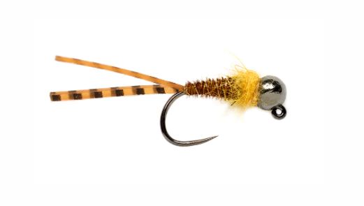 Flaglers Euro Golden Stone Fly