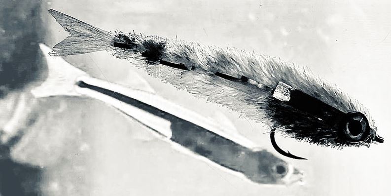 Chocklett's Clear Glass Minnow Chenille