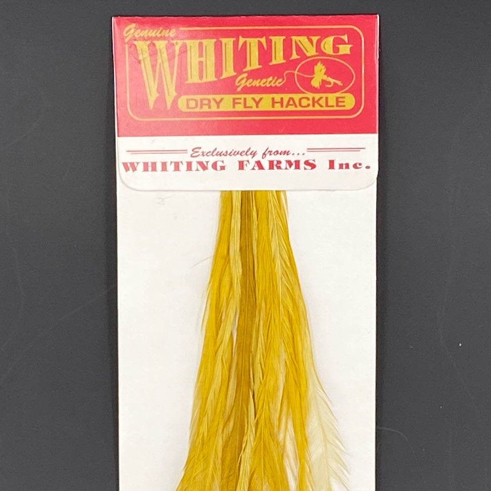 Whiting 100 Pack Dry Fly Hackle  - White dyed Golden Olive - 12