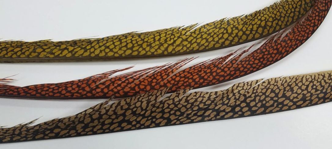 Golden Pheasant Center Tail - Piece