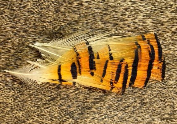 Golden Pheasant Tippets