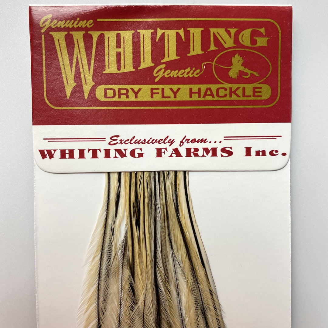 Whiting 100 Pack Dry Fly Hackle  - Golden Badger - 14