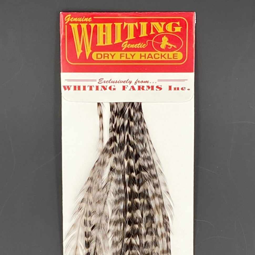 Whiting 100 Pack Dry Fly Hackle  - Grizzly dyed Medium Dun - 10