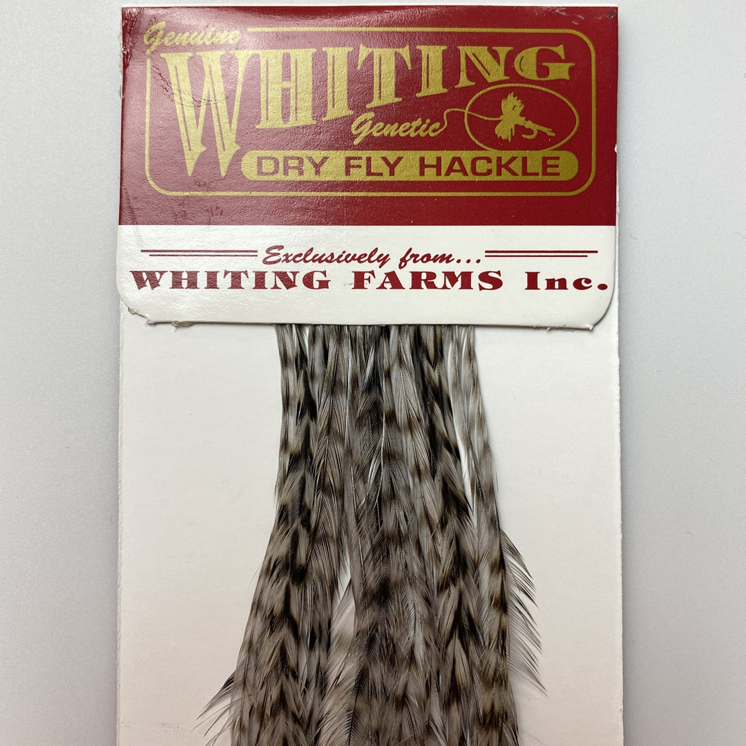 Whiting 100 Pack Dry Fly Hackle  - Grizzly Dyed Medium Dun - 12